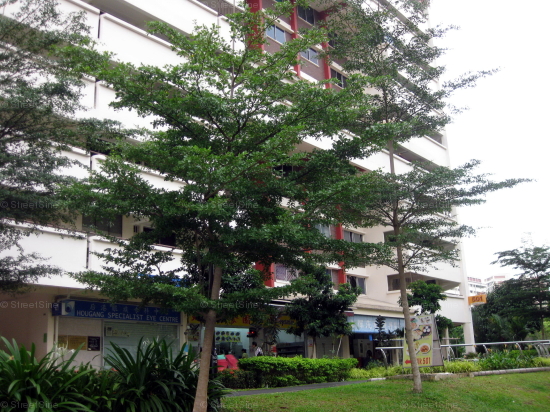 Blk 501 Hougang Avenue 8 (Hougang), HDB 3 Rooms #243602